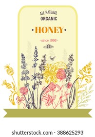 Vector vintage template label with hand draw flowers and herbs. Layout, mockup design for honey, cosmetics shop, beauty salon, natural and organic products. Organic plants sketch background.