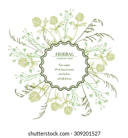 Vector vintage  template label  with hand-draw wild flowers and herbs. Layout, mockup design for cosmetics, store, beauty salon, natural and organic products. With place for text