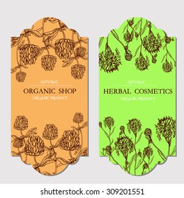 Vector vintage  template label  with hand-draw wild flowers and herbs. Layout, mockup design for cosmetics, store, beauty salon, natural and organic products. With place for text