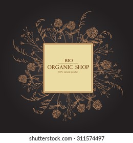 Vector vintage  template label with hand-draw wild flowers and herbs. Layout, mockup design for cosmetics, store, pharmacy, beauty salon, natural and organic products. With place for text