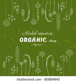 Vector vintage template label with hand-draw  flowers and herbs. Layout, mockup design for cosmetics shop,  beauty salon, natural and organic products. Organic plants sketch background. 