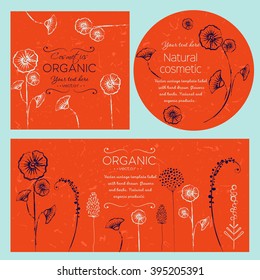 Vector vintage template label with hand-draw  flowers and herbs. Layout, mockup design for cosmetics shop,  beauty salon, natural and organic products. Organic plants sketch background.