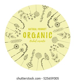 Vector vintage template label with hand-draw  flowers and herbs. Layout, mockup design for cosmetics shop,  beauty salon, natural and organic products. Organic, natural plants sketch background.