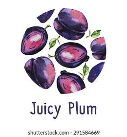 Vector vintage template with plum.  Abstract concept for food market, cafe. Watercolor fruit sign for poster design. Hand drawn sketch illustration. 
