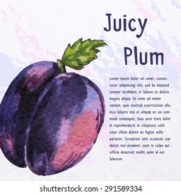 Vector vintage template with plum.  Abstract concept for food market, cafe. Watercolor fruit sign for poster design. Hand drawn sketch illustration. 