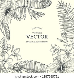 Vector vintage tropical floral background with hawaian flowers. Hand drawn botanical illustration with blooming hibiscus and plumeria and palm leaves in engraving style