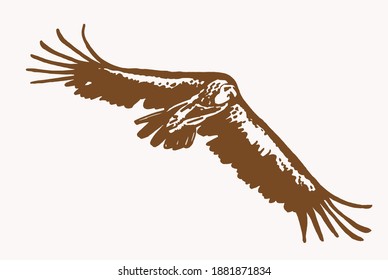 Vector vintage  vulture flying , sepia background, graphical illustration,bird.