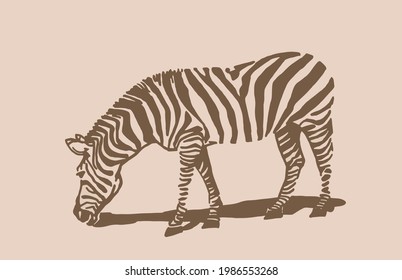 Vector vintage zebra ,sepia background, hand drawn illustration