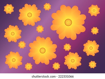Vector violet background with pattern of yellow-orange flowers - marguerites