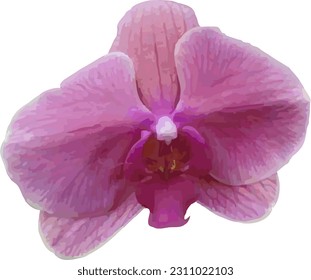 vector violet colored orchid flower isolated on white background - Shutterstock ID 2311022103