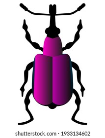 Una paliza de madera exótica violeta vectorial