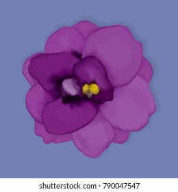 Vector violet flower.