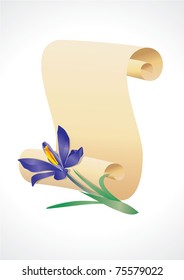 vector violet flower with old diploma scroll