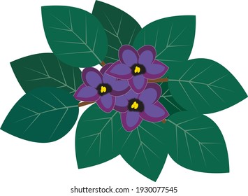 Vector violet flower spring-summer green 2D image with leaves, blooming cartoon illustration, beautiful and bright. Ready for games and illustrations.