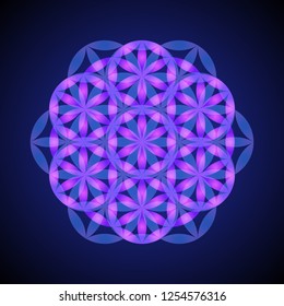 vector violet pink ornament design abstract mandala sacred geometry illustration Flower of life isolated on dark background  
