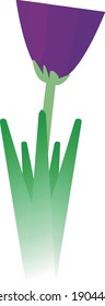 
ilustración de la flor de tulipán violeta vectorial