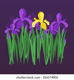 Vector violet and yellow irises on dark night gradient background. Floral design for invitation, greeting card, wedding, birthday, valentines day; textile and fabric, wrapping and stickers