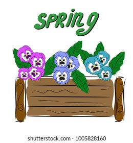 Vector Violets in a large wooden pot. The inscription is spring. Alphabetic 