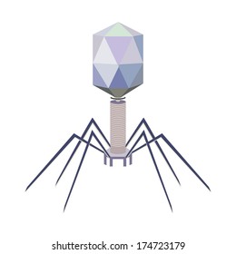 Structure of bacteriophage Images, Stock Photos & Vectors | Shutterstock