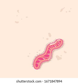 Vector of Virus concept of coronavirus COVID-19. Coronavirus disease a pandemic.