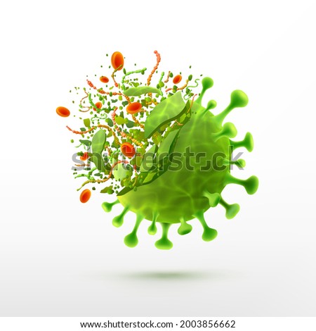 Vector of Virus destruction on white background.bacteria germs microorganism virus cell.Corona Virus SARS CoV 2,2019 nCoV virus destruction concept.COVID-19 Vaccine against coronavirus disease.