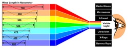 Vector Visible Light With Wave Length Difference Between Spectra Colors Which Give Different Properties Human Eye Can See White Color Spectrum Which Composed Of All Colors Of Rainbow Physics Education