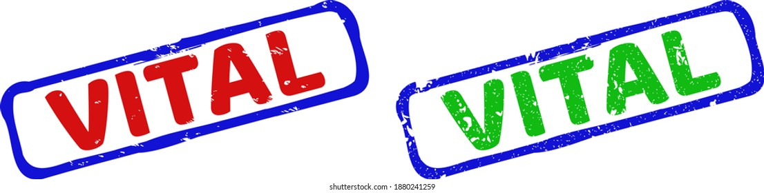 Marcas de agua enmarcadas en Vector VITAL con un estilo impuro. Sellos rectangulares rígidos bicolores. Colores rojos, azules y verdes. Sellos de textura plana con el título VITAL dentro de un marco rectangular áspero.