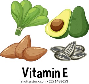 Vektorgrafik von Vitamin E Rich Foods