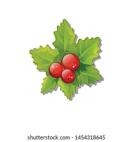 vector volume christmas holly with red berries, the symbol of the new year holidays, isolated on white background, print for fabric, sticker, xmas eps 10 oak, oak-tree leaves of ilex