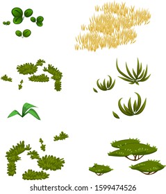 vector volume set of group grass 