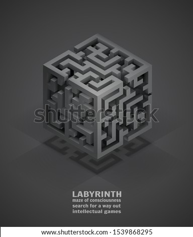 vector volumetric maze, search for solutions and yourself. mind games concept