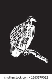 Vector vulture isolated on black  background, engraved illustration,bird.