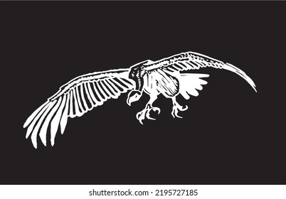 Vector vulture on black isolated,graphical drawing. Wild bird,hunter