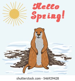 vector of waked groundhog
