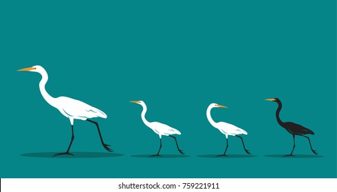 Vector of walking bird on blue background, Difference concept. Animal Idea.