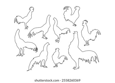 Vector walking chicken outline set isolated on white background