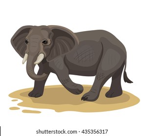 Vector walking elephant