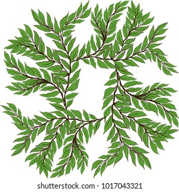 Vector. Wallpaper. Branch with small leaves. Decorative composition. Floral motifs. Use printed materials, signs, items, websites, maps, posters, postcards.