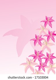 vector wallpaper of lily flower
