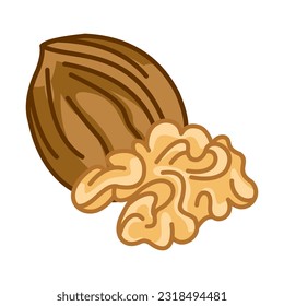 Vector walnut in cartoon style for the design of the label template, packaging and emblem of the farmer's market. Isolated on a white background