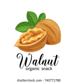 Vector walnut in cartoon style for template label, packing and emblem farmer market design.