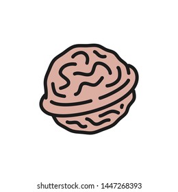 Vector walnut flat color icon.