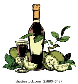 Vector Walnut liqueur in color engraving technique. Unripe walnut seeds whole and halves and leaves. Bottle of Italian liqueur Nocino, glass with aperitif and green walnuts. Linear ink sketch.