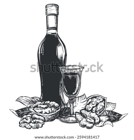 Vector Walnut liqueur in engraving technique. Ripe walnut seeds whole and halves and leaves. Bottle of walnut liqueur, glass with aperitif. Linear sketch in black ink on white background.