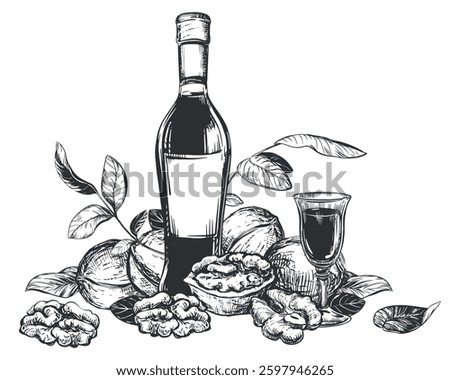 Vector Walnut liqueur in engraving technique. Ripe walnut seeds whole and halves and leaves. Bottle of walnut liqueur, glass with aperitif. Linear sketch in black ink on white background.