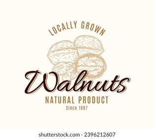 Vector walnut vintage logo, nut label design, whole walnut and kernels