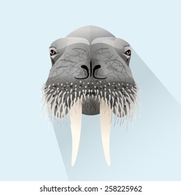 Vector walrus portrait