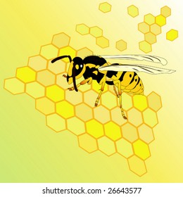 vector wasp
