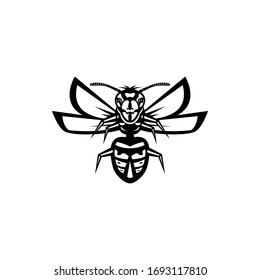vector wasp illustration. wasp icon