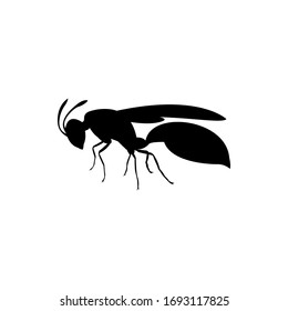 vector wasp illustration. wasp silhouette